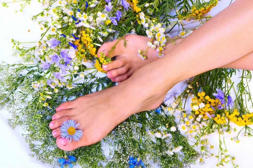 Herbên ji Varicose Veins